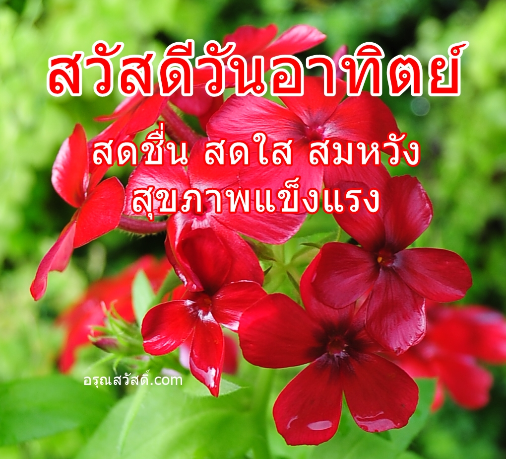 ทดสอบไม่ใส่ลิ้งค์