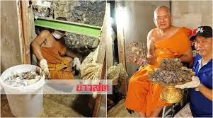 รื้อกุฏิ 'หลวงพ่อขันธ์' เกจิดังโพธาราม พบกรุพระผง 5 พิมพ์ซ่อนอยู่อื้อ